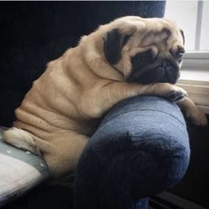 Meet your Posher, Jen